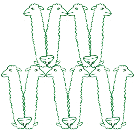 J'ai passé mon weekend avec des alpagas.Folle vie.