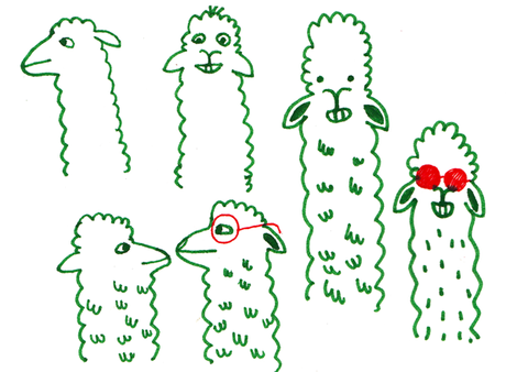 J'ai passé mon weekend avec des alpagas.Folle vie.