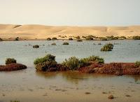 Méga projet touristique : Oued Chbika, près de Tan-Tan