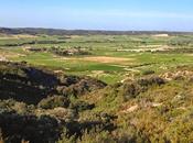 Tavel d'en haut) sciatique