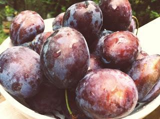 Confiture aux prunes
