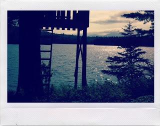 Guédille aux crevettes