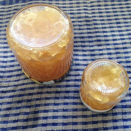 Marmelade de citron cédrat au combava