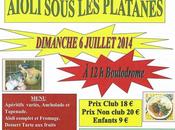 Aïoli sous platanes avec