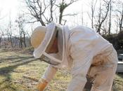 Inquiétante mortalité insectes "bénéfiques" c'est plus grave prévu