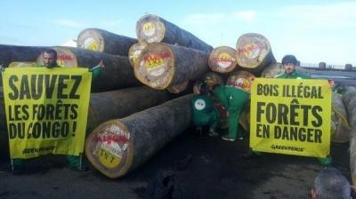 greenpeace,bois,afrique,environnement,foret,déforestation
