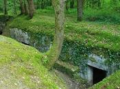 Tranchée soif Bois d'Ailly