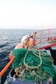Finistère. En mer, avec les marins pêcheurs du Guilvinec (vidéo)