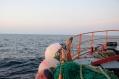 Finistère. En mer, avec les marins pêcheurs du Guilvinec (vidéo)