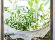 beautiful beach house