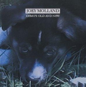 Deux nouveaux CD pour Joey Molland