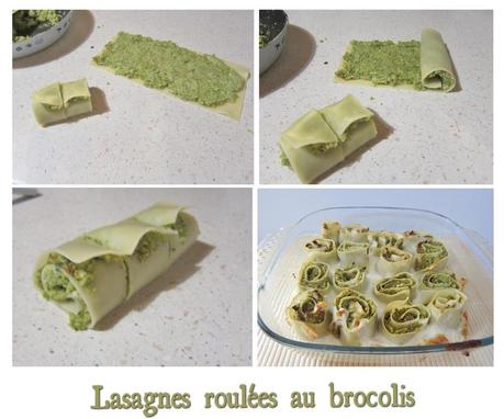 lasagnes roulées brocolis (scrap3)