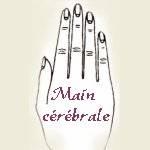 Signification de la forme de la main en chiromancie Signification de la forme de la main en chiromancie