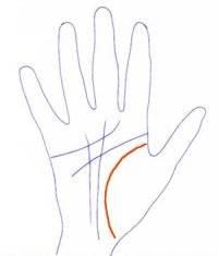 Lignes de la main, la ligne de vie Lignes de la main, la ligne de vie