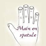 Chiromancie Ou Lignes De La Main A Lire Chiromancie Ou Lignes De La Main A Lire