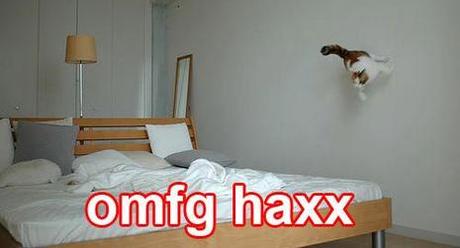 OMG HAX !