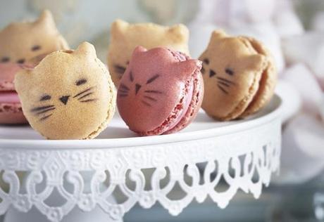 les_macarons_chat_len__tre___7952_north_635x0 Alerte mignonnerie: voici les macarons chatons!