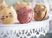 Alerte mignonnerie: voici macarons chatons!