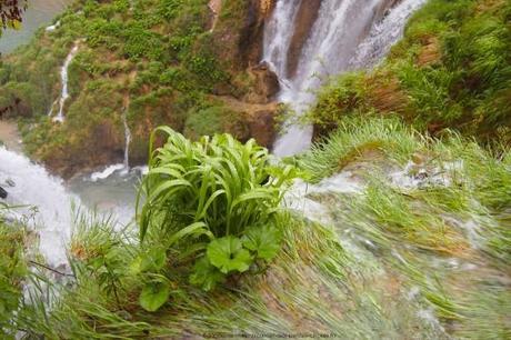 P6174064_plitvice-pluie-rain_62_gagaone