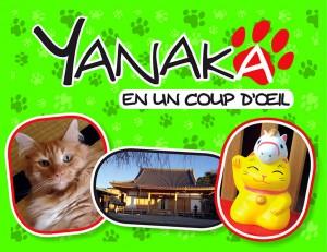 Yanaka-en-un-coup-d-oeil-komikku