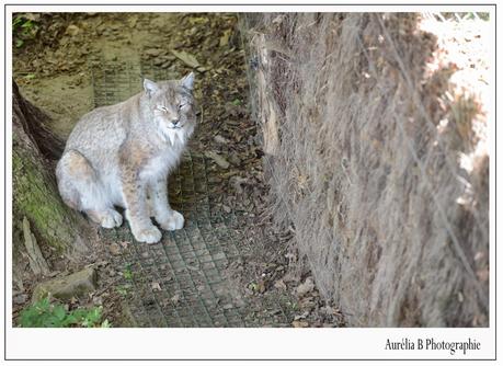 Une journée photo au Parc de Sainte Croix