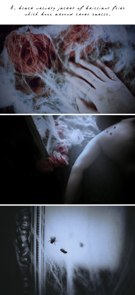 A © Suji Park Photography