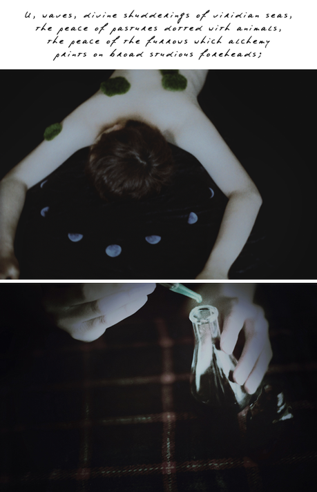 U © Suji Park Photography