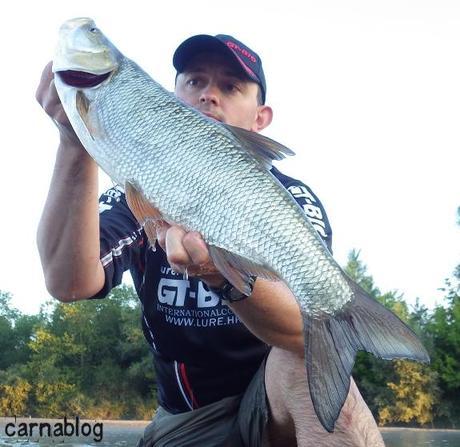 Asp(e)iration de leurres - II 01-07-2014 (4)