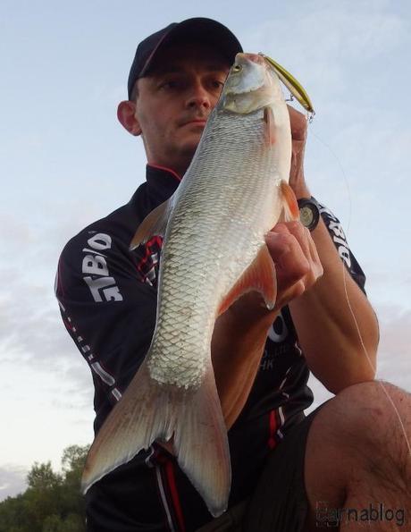 Asp(e)iration de leurres - II 01-07-2014 (3)