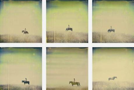 long way home - Stefanie Schneider