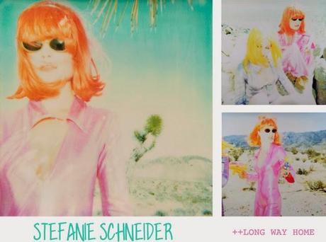 long way home - Stefanie Schneider