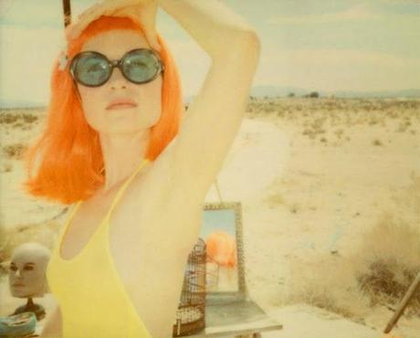 long way home - Stefanie Schneider