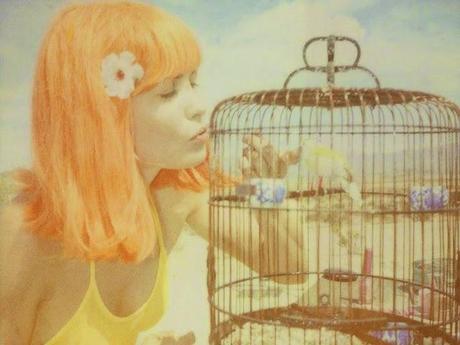 long way home - Stefanie Schneider