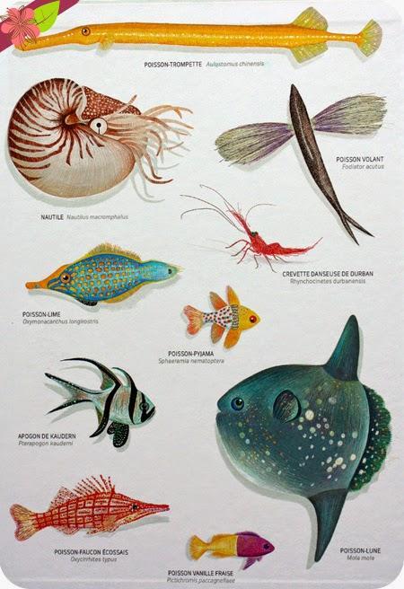 Des vagues, texte et illustrations d'Isabelle Simler