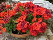 Coup d'envoi vacances