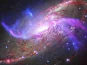 galaxie vandalisée trou noir supermassif