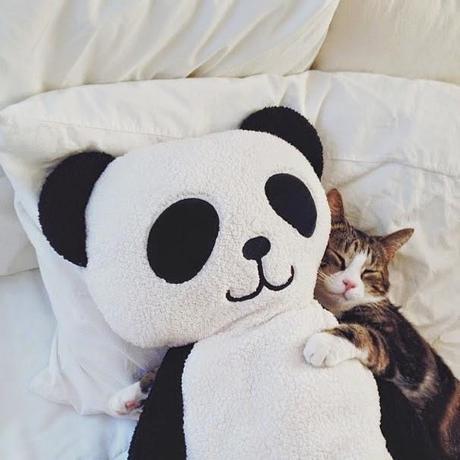 Les favoris d'Instagram #1 Les favoris d'Instagram #1