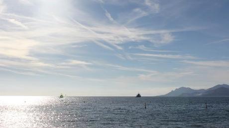 Photo (c) Amaury van Hoorebeke