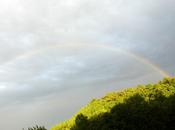 Première vague pluie