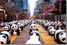 Pandas at Mong Kok