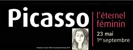 Picasso_bandeau