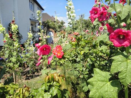 leptitlu chez les rosbifs (2)