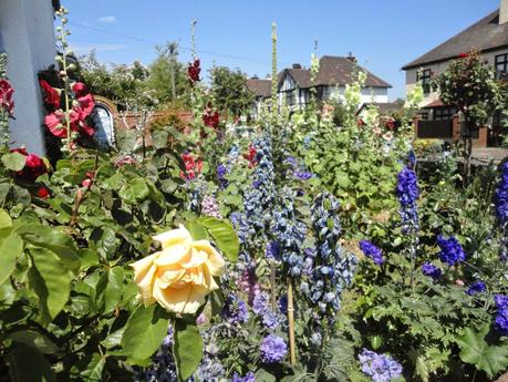 leptitlu chez les rosbifs (2)