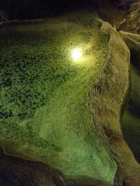 Un petit tour dans les Grottes de la Balme! Un petit tour dans les Grottes de la Balme!