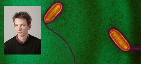 Sabotage de la transcription et de la machinerie de traduction de la cellule hôte par des effecteurs de type IV chez Legionella pneumophilia Sabotage de la transcription et de la machinerie de traduction de la cellule hôte par des effecteurs de type IV chez Legionella pneumophilia