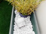 J’ai testé Mehitsa