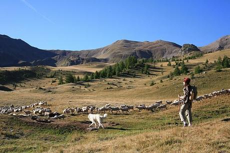Résa des vacances à la montagne : check !