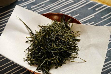 Shizuoka 2014, Tamakawa