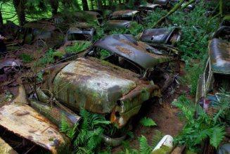 Panique ? Qu’a t-il pu provoquer cet embouteillage fantôme en Belgique?