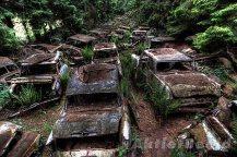 Panique ? Qu’a t-il pu provoquer cet embouteillage fantôme en Belgique?